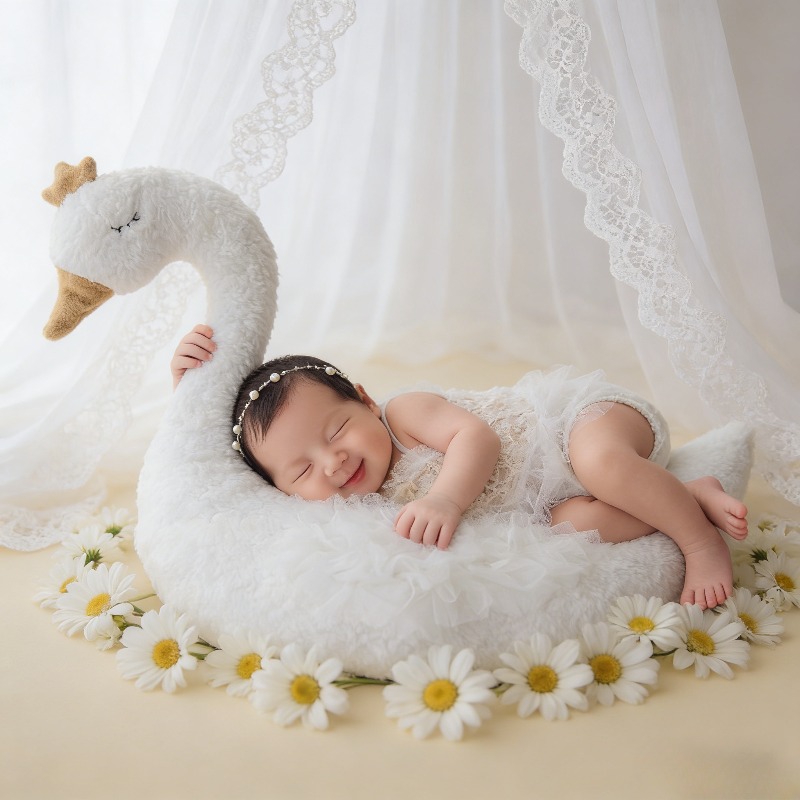 Photography Outfits - Ensemble de tenues en dentelle cygne